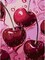 Cherry 5D Diamond Painting Kit for Adults 12x16in Full Drill DIY Wall Art with Tools